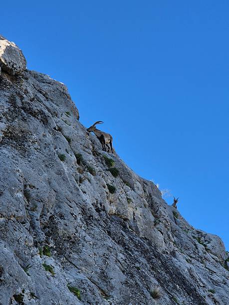 istock Hiking trail, Martos, Spain - 2024 2218311849