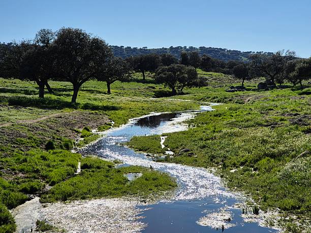 istock Sierra Morena Natural Park, Andujar, Spain – 2025 2218313412