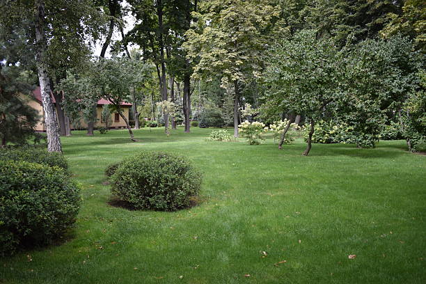 istock Beautiful Garden with a Freshly Mowed Lawn 2218313638