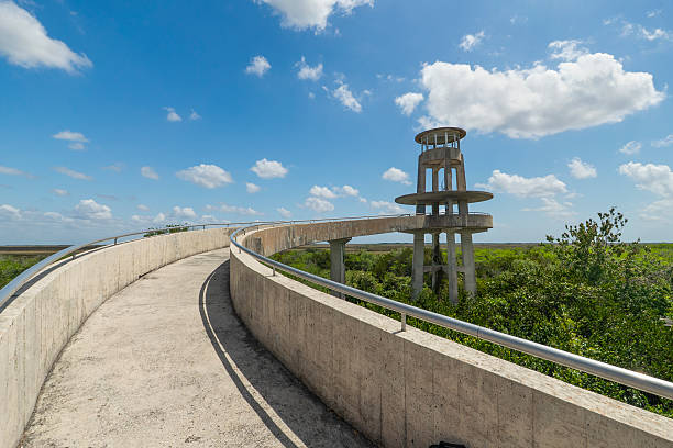 The iconic Shark Valley observation tower rises above the surrounding Everglades National Park wetlands, with its spiral ramp leading the viewer up to the observation platform to better view nature. As part of the Mission 66 program, the modernist architectural marvel designed by Edward M Ghezzi completed construction in 1964.