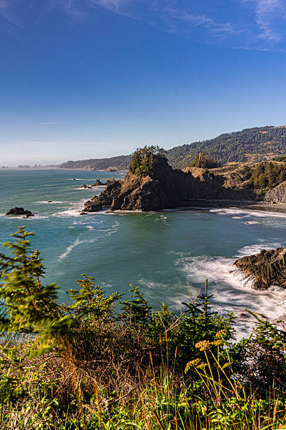 istock Arch Rock State Park, Brookings, Oregon, Pacific Northwest, USA 2218316626