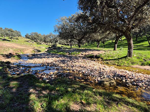 istock Sierra Morena Natural Park, Andujar, Spain – 2025 2218316823