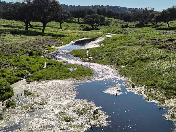 istock Sierra Morena Natural Park, Andujar, Spain – 2025 2218316833