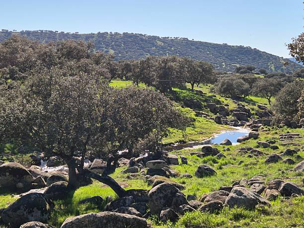 istock Sierra Morena Natural Park, Andujar, Spain – 2025 2218316846