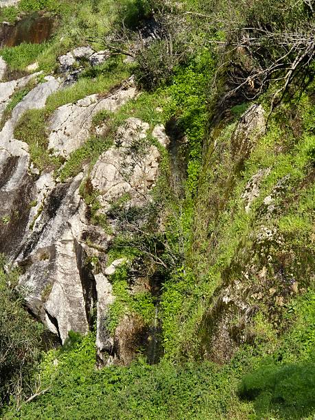 istock Sierra Morena Natural Park, Andujar, Spain – 2025 2218316934