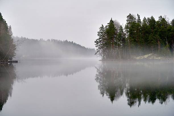 istock Misty Lake with Reflecting Pines 2218322581