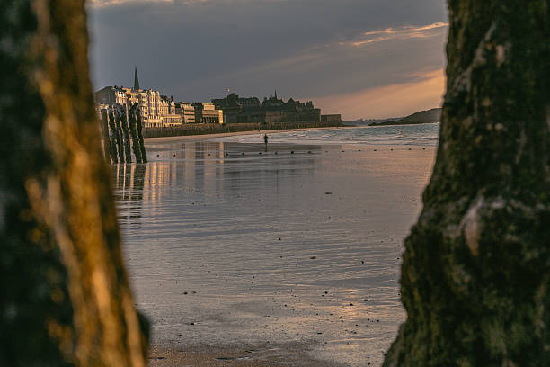 Close-up on the breakwaters of Saint Malo in Brittany