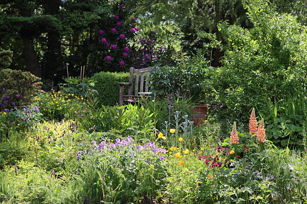 istock Colourful flower beds in a garden in spring 2218324553