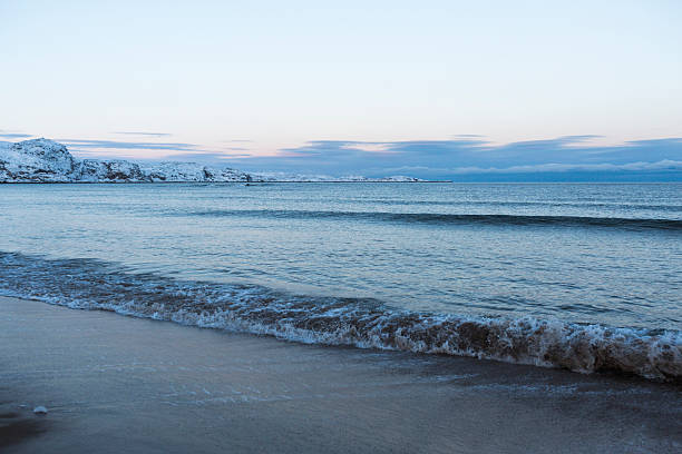 Barents Sea or Arctic Ocean Shore. Kola Peninsula winter landscape