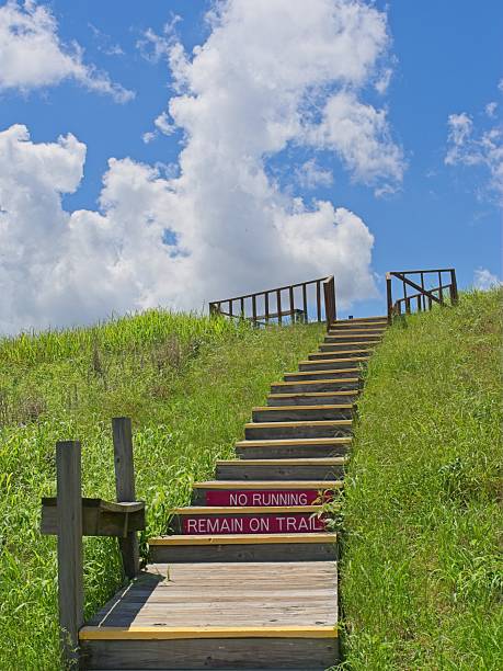Wooden stairs in the dunes on Sylt on the North Sea