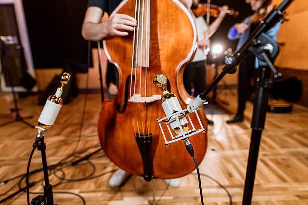 istock Double bass performing solo into microphone. 2218331490