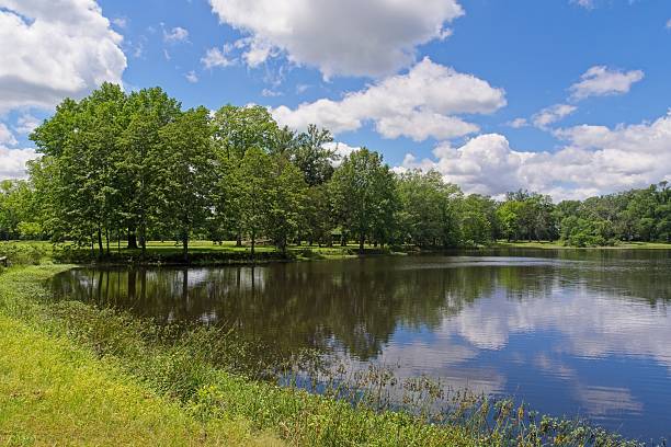 Springtime lakeside at Arkansas Point near the Arkansas river.