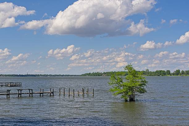 Lake Chicot an oxbow lake in southeast Arkansas. Recent rains with lake levels very high, a popular recreational lake.