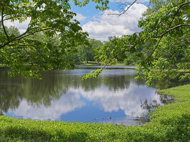 istock Springtime lakeside at Arkansas Point near the Arkansas river 2218332439