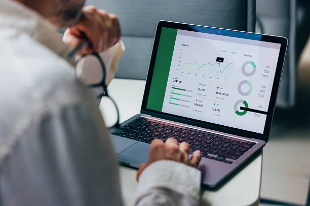 professional analyzing business data on laptop with graphical charts and reports - cihaz ekranı stok fotoğraflar ve resimler
