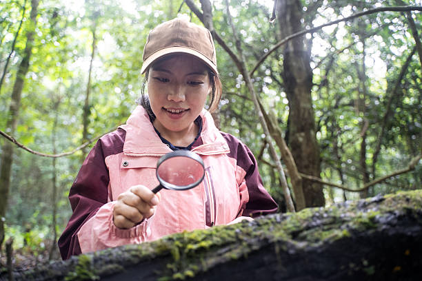 The girl who explores the forest with a magnifying glass, looking at plants and insects