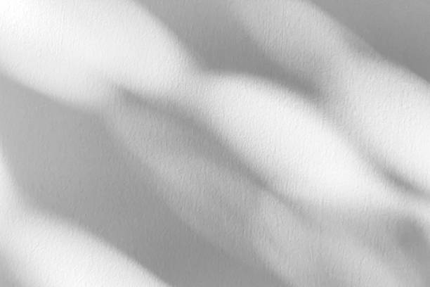 istock Abstract natural tree branch leaves shadow on white wall background 2218339140