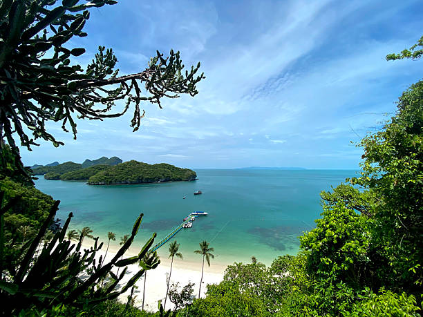 istock Aerial view of the ocean 2218354586