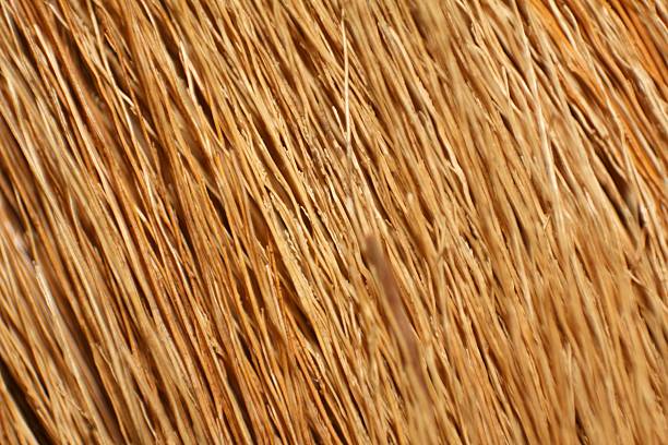 A close up of a bunch of yellow straw. The straw is long and thin, and it is dry and brittle. Scene is somewhat somber