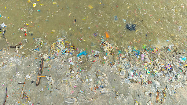 istock trash, plastic cups and plastic bags at the beach. environmental problem concept and healing the world 2218357066