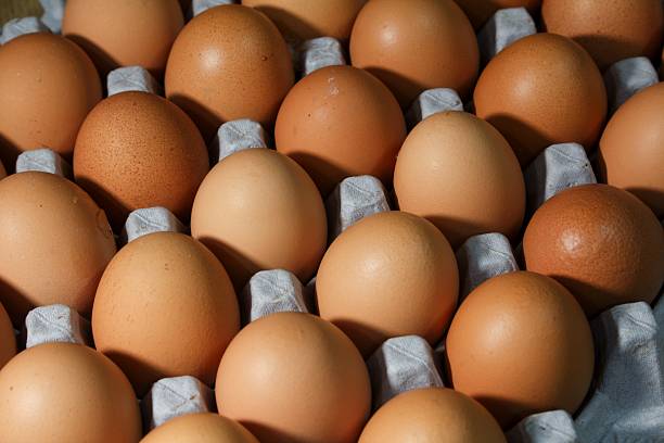 istock Overhead close-up of numerous fresh brown chicken eggs 2218358523