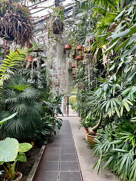 istock Indoor botanical garden 2218358741