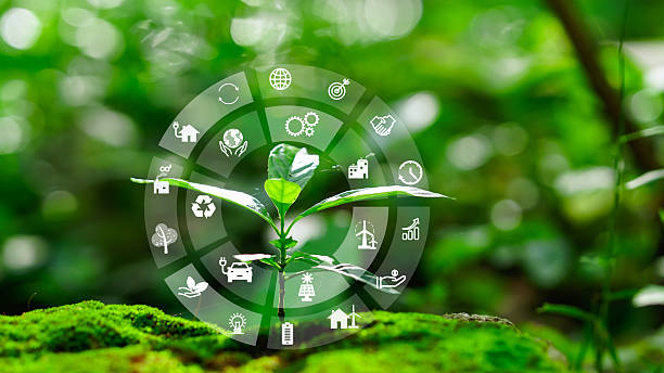 istock A young plant with CO2, ESG reduction icon and green technology symbols, representing sustainability, carbon capture, and environmental innovation. 2218359568