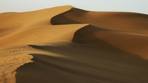 istock Sand blowing over sand dunes in wind 2218366901