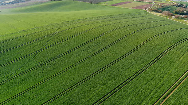 istock Green wavy hills with agricultural fields 2218369559