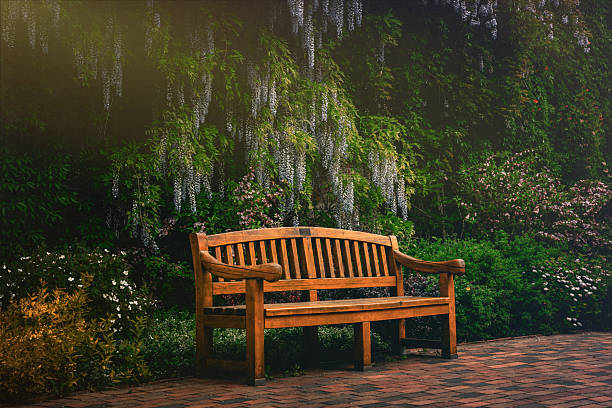 Beautiful blooming summer garden and old abandoned wooden bench