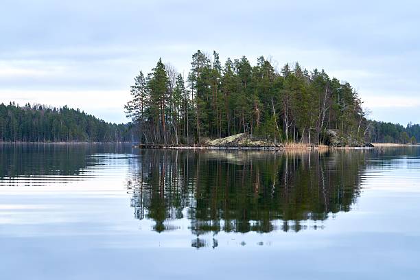A serene lake view with a small forested island reflecting on calm water under a cloudy sky, capturing nature's tranquility.