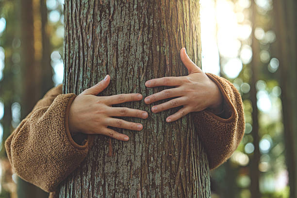 istock Close-up of woman’s hand gently hugging a tree trunk in forest – human connection with nature, love for environment, sustainability, and eco-conscious lifestyle in natural woodland setting 2218374892