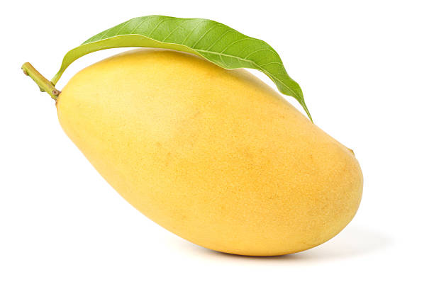 istock Ripe mango yellow with green leaves. 2218376023