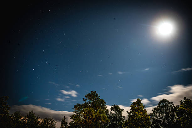 Night sky over Brazil filled with visible stars and a radiant full moon casting bright light on the treetops below. Wisps of clouds move through the frame while the foreground trees appear in gentle shadow.
