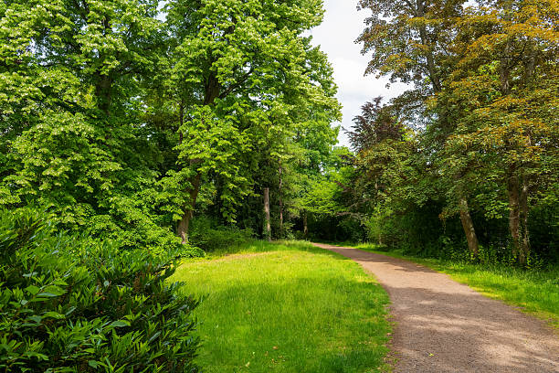 istock Lush green nature trail inviting peaceful walks through a serene landscape on a bright spring day 2218380240