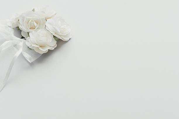 Close-up photo comparing real garden, cultivated, and artificial roses. Photo illustrates differences and similarities between real living and artificial silk flowers in a beautiful way.