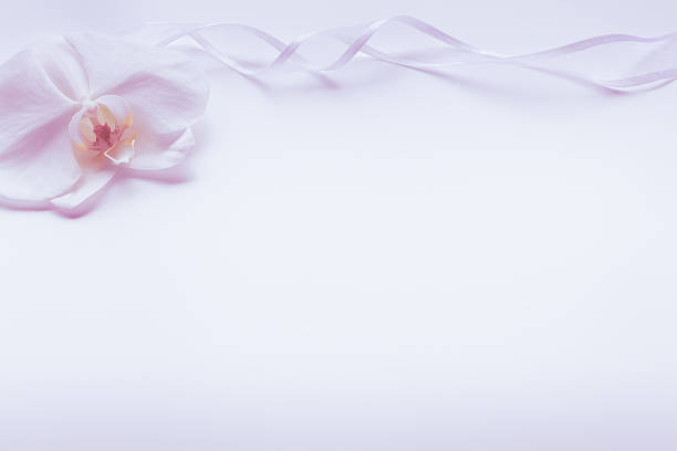 mourning postcard, flowers, orchids, background material, copy space, flower frame