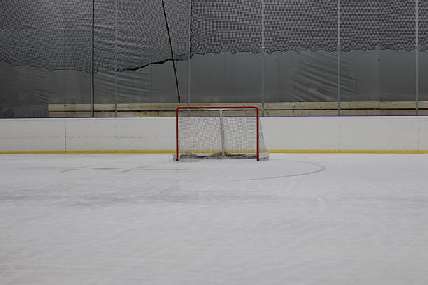 istock Ice hockey goal prepared for youth training match 2218384866