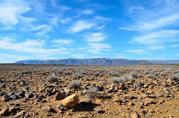 Empty arid landscape, Tankwa Karroo National Park