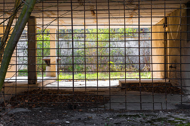 istock View through a rusty metal grid into a decaying open structure with overgrown vegetation and scattered debris on the ground. 2218388302