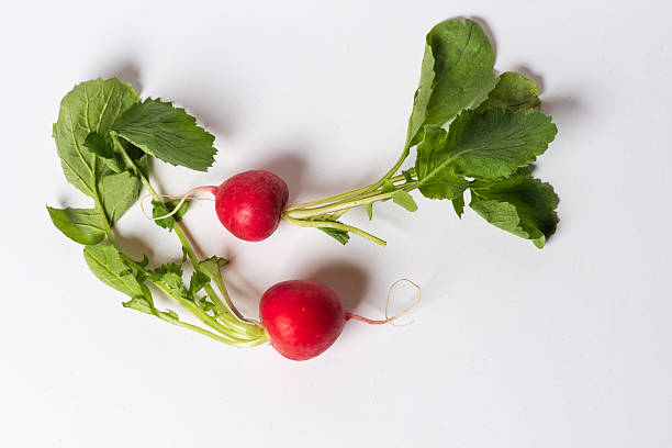 istock Two Fresh Red Radishes with Green Tops on a White Surface 2218388629