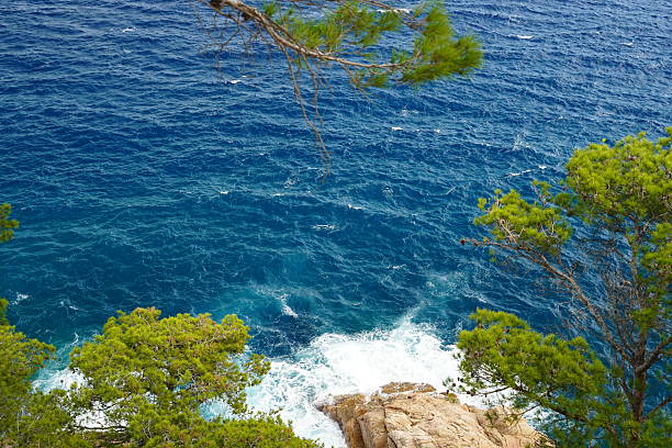 Aerial view of deep blue ocean waves crashing against a rocky shore, framed by vibrant green pine trees. The dynamic texture of the sea contrasts with the stillness of the coastal vegetation, evoking a sense of natural power and serene isolation. This image captures the raw beauty of the Mediterranean or similar coastal environment, ideal for travel, nature, and environmental themes.