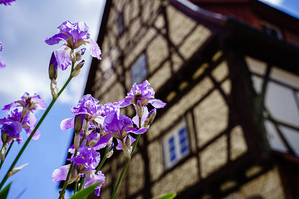 Street architecture in the small historical city of Endersbach by Stuttgart, Baden-Wuerttemberg, Germany. Fachwerk houses, German culture and construction traditions