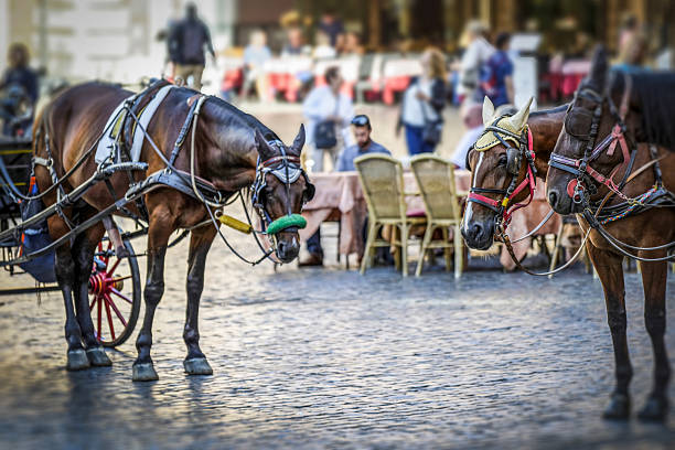 Tourist carriages on the Piazza della Rotonda in Rome, Italy.