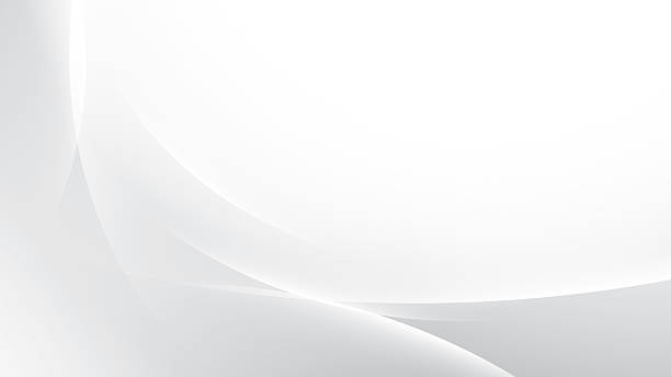 istock Abstract white and gray color, modern design stripes background with curve lines. Vector illustration. 2218411219