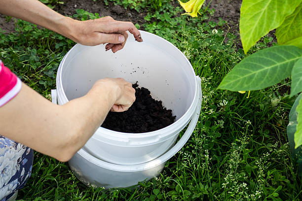 istock Exploring soil quality and nutrients in gardening activity in a backyard during daytime hours 2218415745