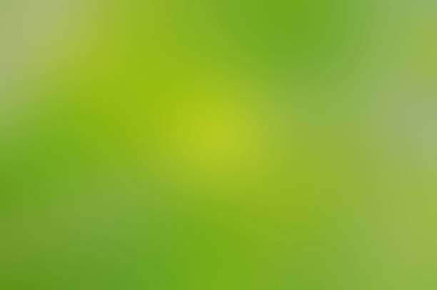istock green background or leaf background , green and yellow background 2218415985