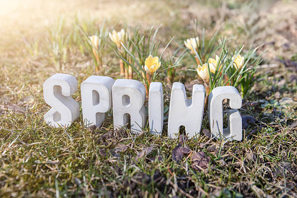 Closeup of mass produced text spelling out Spring on a residential lawn.