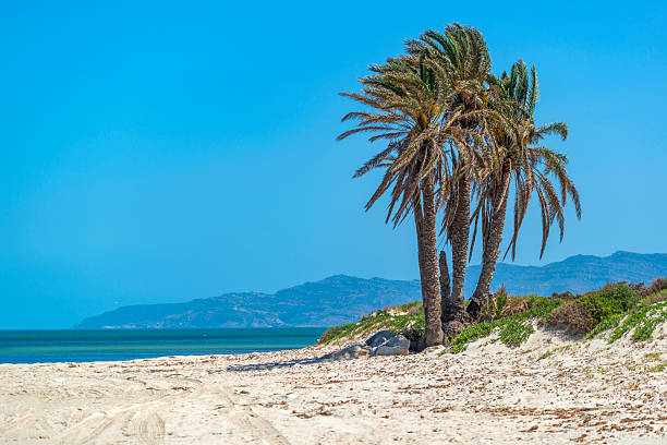 istock Soliman beach in Tunisia 2218416160