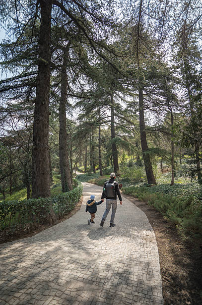 A father and child walk hand-in-hand along a picturesque path of botanical garden in Tbilisi, Georgia in a forest, surrounded by tall trees, symbolizing adventure, unity, and the beauty of nature and family.